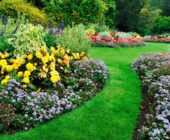 5 Pasos Sencillos para Crear un Jardín Impresionante