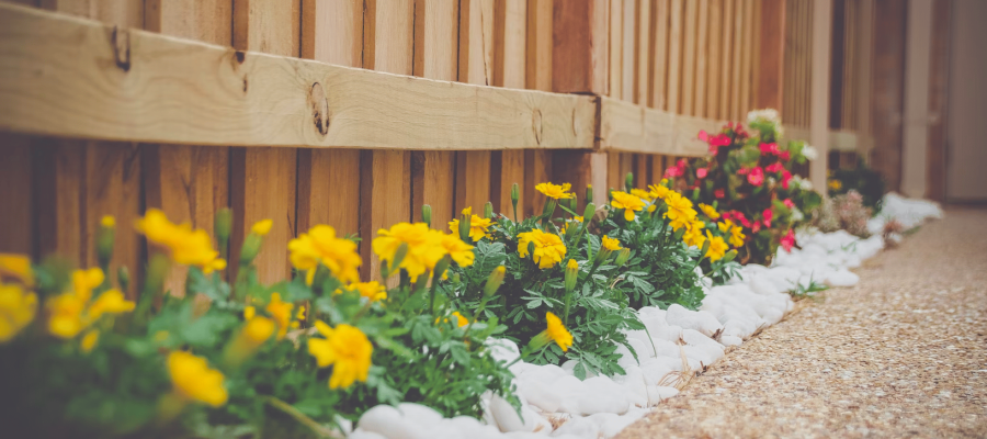 ¿Cuál es el mejor tipo de valla para tu jardín?